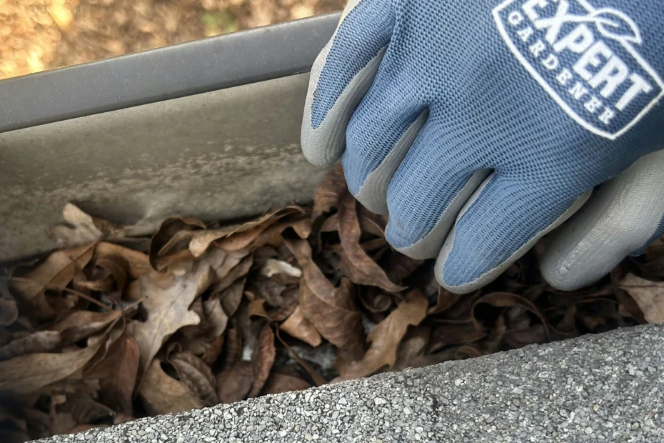 Gutter Cleaning Stuart FL