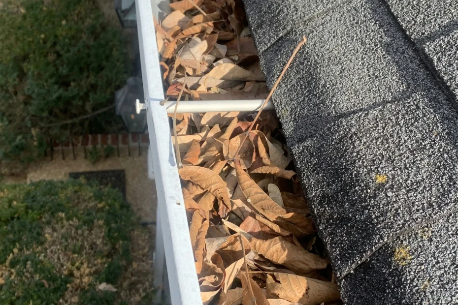 Gutter Cleaning Stuart FL